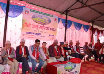 पाल्पाको अर्गलीमा आलु महोत्सव सम्पन्न