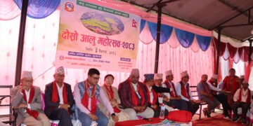 पाल्पाको अर्गलीमा आलु महोत्सव सम्पन्न